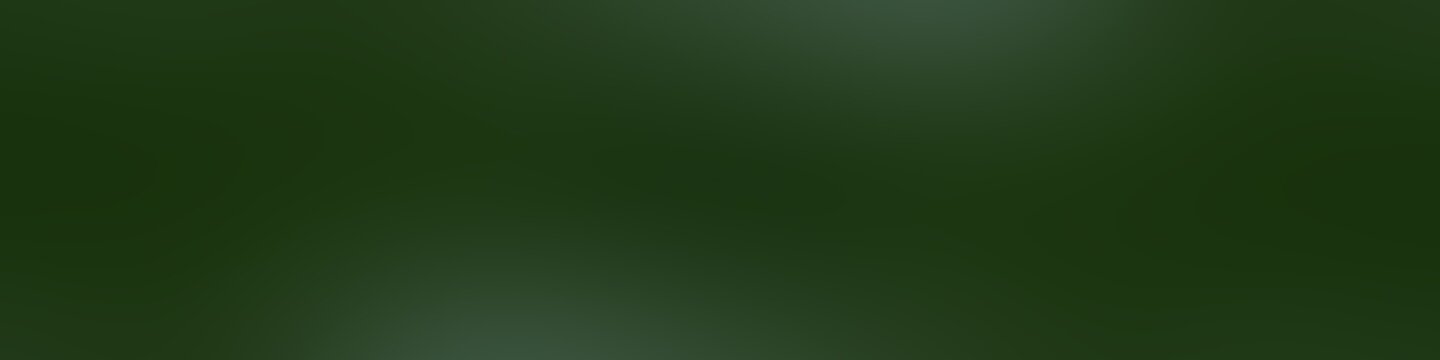 green camouflage gradient, abstract background green long wall, blurred green color nature