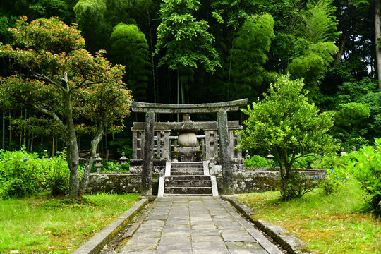 「菩提寺」の画像 2,848 件の Stock 写真、ベクターおよびビデオ Adobe Stock