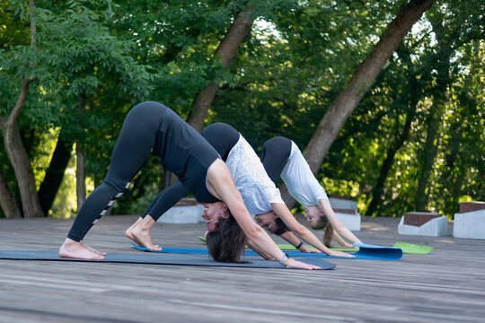 Group of young women in Adho Mukha Svanasana. Girls practice yoga in downward dog position in park. Morning fitness.