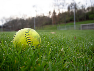 Closeup of yellow baseball in the green grass on the ball field.
