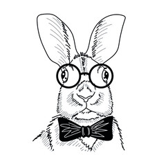 Drawing of smart rabbit professor. Smart and intelligent bunny portrait. Engraving, sketch or print.