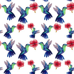 seamless pattern with hummingbird on white