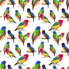 Naklejka premium seamless pattern with birds on white