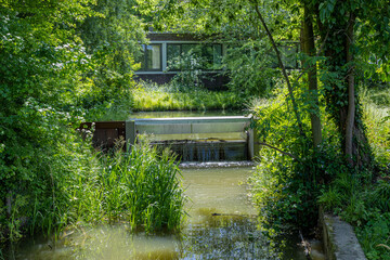 Stream with flowing water between lush green trees and abundant wild vegetation, small dam with stuck branches, building in the background, sunny spring day in South Limburg, Netherlands