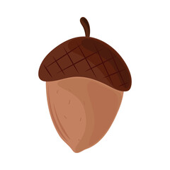 acorn flat icon