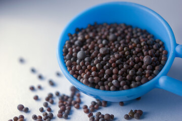 Macro close-up of Organic Black mustard seed Brassica nigra on white background. Pile of Indian Aromatic Spice. Top view