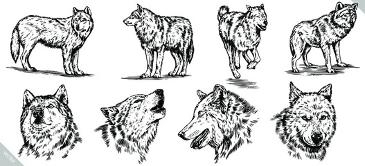 black and white set engrave ink draw isolated wolf vector set © Turaev