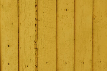 Texture of old wooden painted yellow planks. Old wooden fence with yellow paint. Boards with nails