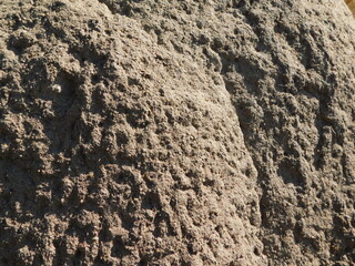 Closeup background photograph of an Anthill glistening in the sun, displaying the sand's texture in the finest detail