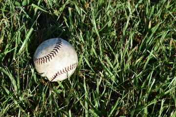Baseball in Grass