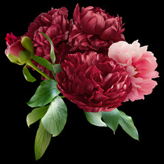 Pink and red peony isolated on black background. Floral arrangement, bouquet of garden flowers. Can be used for invitations, greeting, wedding card. © RinaM
