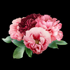 Pink and red peony isolated on black background. Floral arrangement, bouquet of garden flowers. Can be used for invitations, greeting, wedding card.