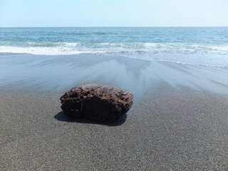 長い航海を終えて砂浜に流れ着いた木