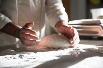 Obraz na płótnie Canvas pizza chef preparation cooking firewood 