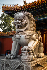 Fototapeta premium Chinese imperial guardian lion statue