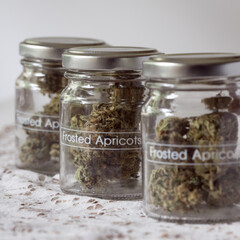 Cannabis buds dried and trimmed in glass jars with a light background