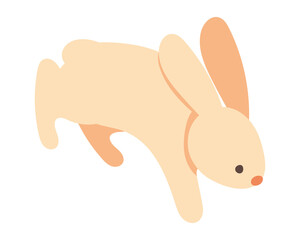 rabbit flat icon