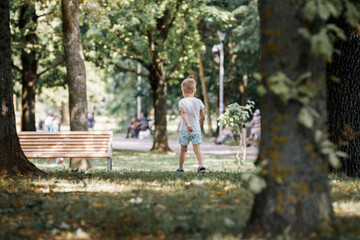 A little cute boy walks in a city park, a beautiful summer sunny day, big oak trees around.