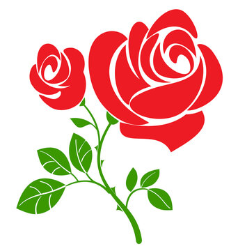 red rose on white, vector icon image of rose