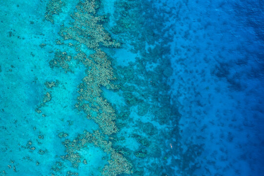 A Man With A Diving Suit, Snorkeling, On The Coral Reef In Eilat, Israel.