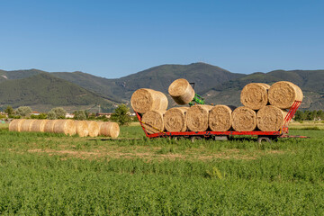 A hay bale is lifted with a tractor to be added to the others on a trailer, Bientina, Pisa, Italy
