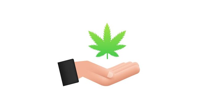 Hand cbd. Hand holding marijuana leaf. Medical treatment. Motion graphics 4k