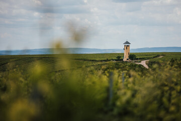 Vendersheimer Turm 