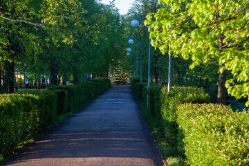 alley in the park