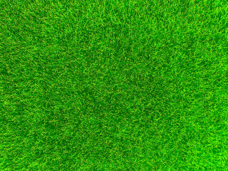 Plakat Green grass texture background grass garden concept used for making green background football pitch, Grass Golf, green lawn pattern textured background...