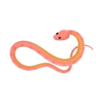 Pink Snake Icon