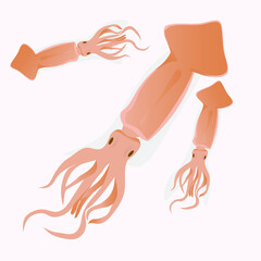 set of squid octopus seafood fish ocean salty