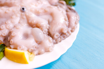 Little fresh octopus on a blue background. Healthy and delicious seafood