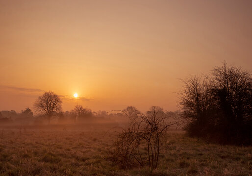 Early morning orange/golden sunrise over rural field. © Wormsmeat