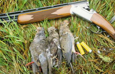 A trio of doves and a shotgun 
