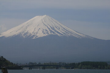 河口湖大橋と富士山