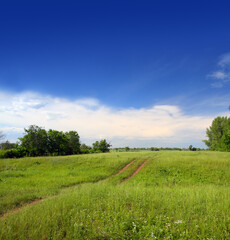 Fototapeta na wymiar landscape with track in field