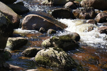 Nature, Jizera Mountains, Czech Republic