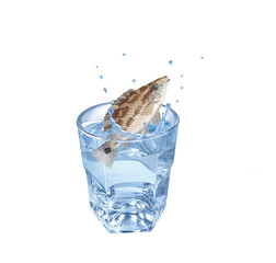 crénilabre mélos,poisson, évasion, eau, en verre, boire, clapoter, glace, isolé, liquide, abattre, blanc, froid, bleu, éclaboussure, bouillonner, transparent, clair, cool, frais, humide, propre, rafra