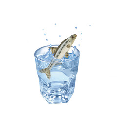goujon , poisson, évasion, eau, en verre, boire, clapoter, glace, isolé, liquide, abattre, blanc, froid, bleu, éclaboussure, bouillonner, transparent, clair, cool, frais, humide, propre, rafraîchissem