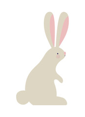 adorable bunny illuestration