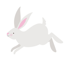 adorable bunny design