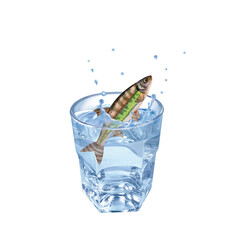 varion , poisson, évasion, eau, en verre, boire, clapoter, glace, isolé, liquide, abattre, blanc, froid, bleu, éclaboussure, bouillonner, transparent, clair, cool, frais, humide, propre, rafraîchissem