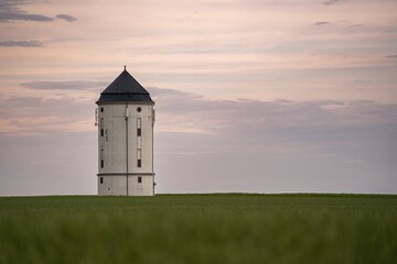 Fototapeta premium unreifes Getreidefeld mit Wasserturm