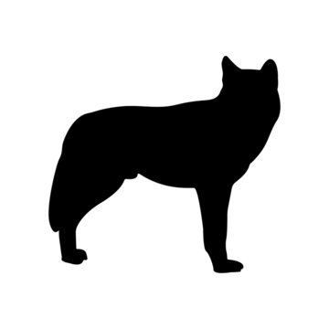 Vector black wolf silhouette isolated on white 