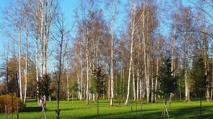 Historical monument. Autumn park, paths and trees. State Museum-Reserve Gatchina. Leningrad region,...