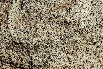 texture of granite stones, background, stone texture of gray color