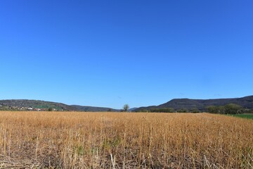 Natur - Felder - Panorama - Werratal