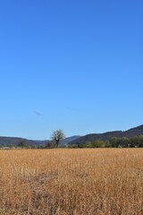 Obraz premium Natur - Felder - Panorama - Werratal