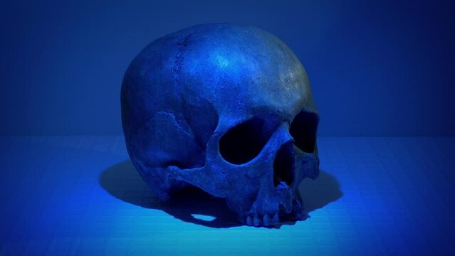 Old Skull Lit Up In Lab Closeup