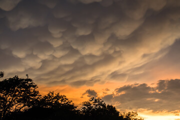 Fototapeta premium sunset after storm